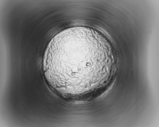 X0000103220849200809181502