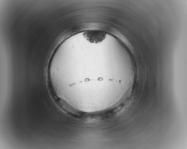 X0000103220850200809181502