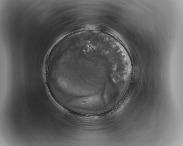 X0000103220851200809181502