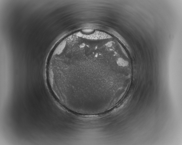 X0000103220853200809181502