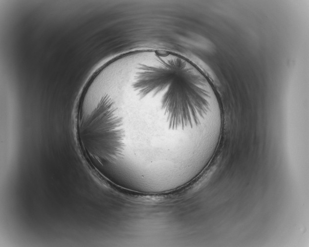 X0000103220854200809181502