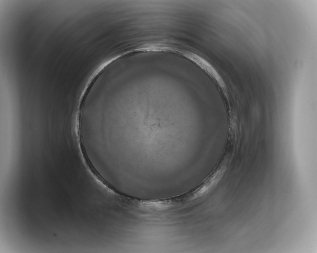 X0000103220855200809181502