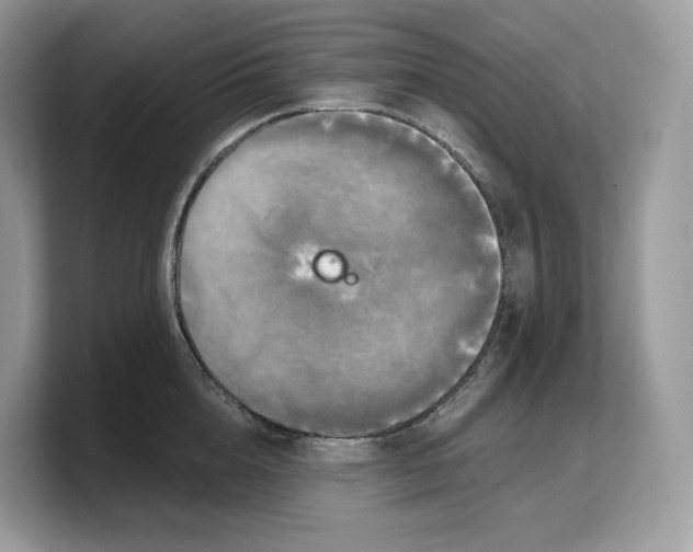 X0000103220856200809181502