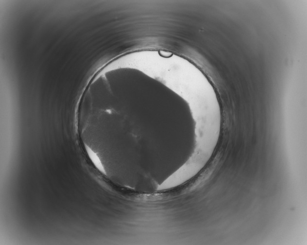 X0000103220858200809181502