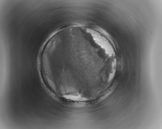 X0000103220859200809181502