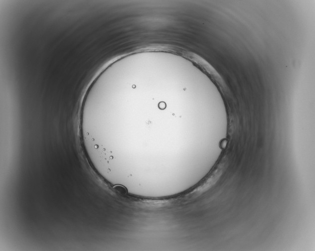 X0000103220860200809181502