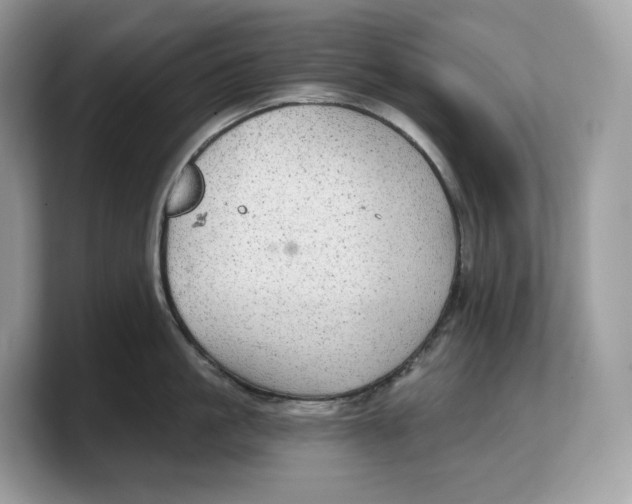 X0000103220861200809181502