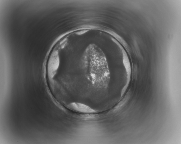 X0000103220862200809181502