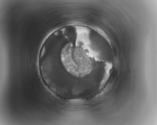 X0000103220863200809181502