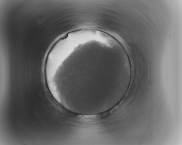 X0000103220864200809181502