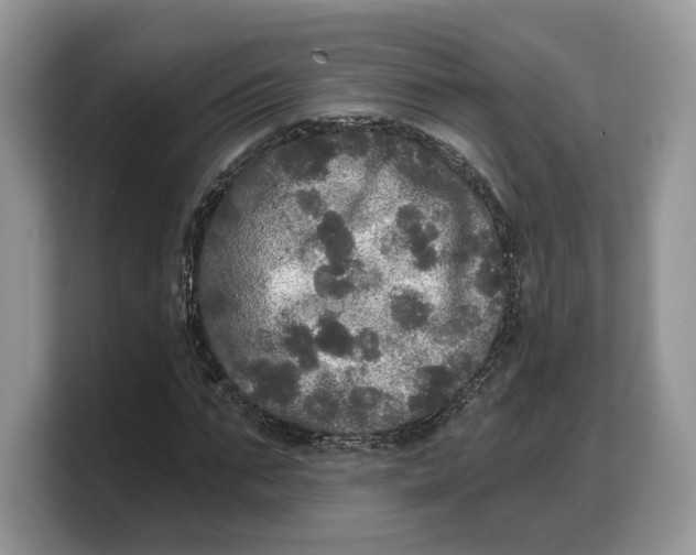 X0000103220871200809181501