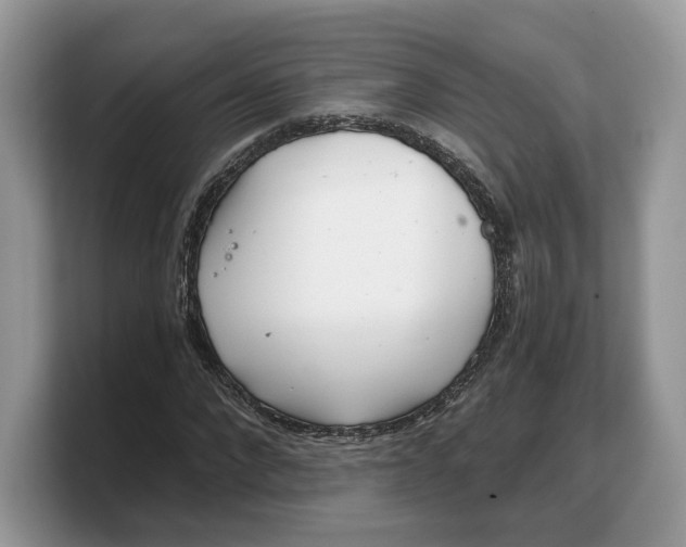 X0000103220872200809181501