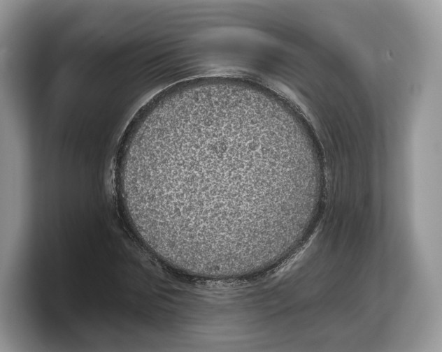 X0000103220875200809181501