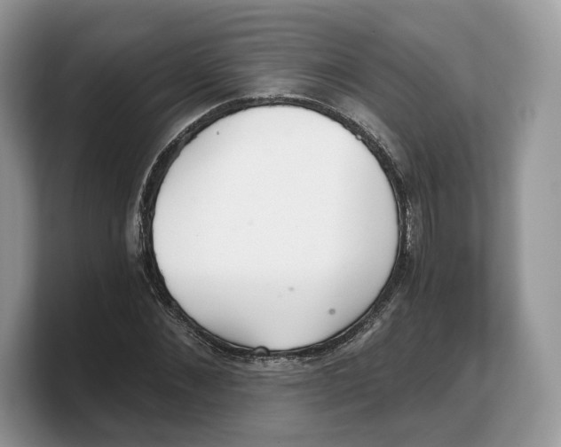 X0000103220876200809181501