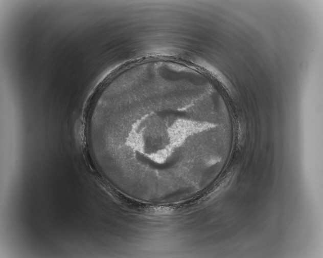 X0000103220878200809181501