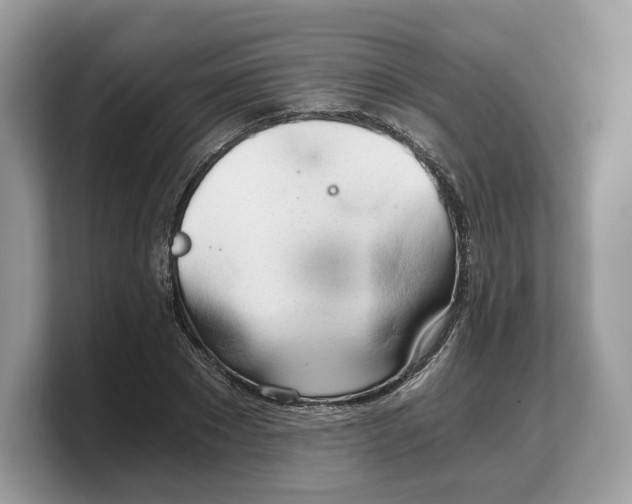 X0000103220881200809181501