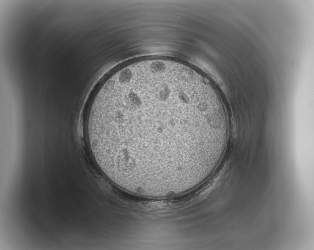 X0000103220883200809181501