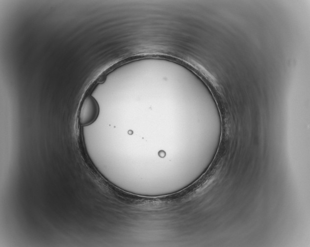 X0000103220885200809181501