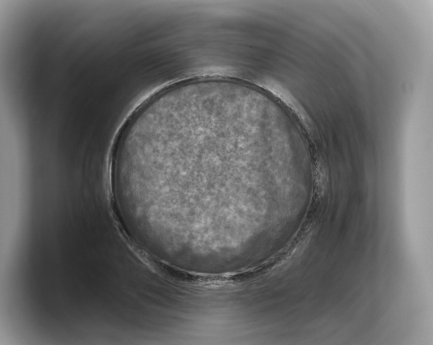 X0000103220886200809181501