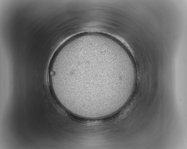 X0000103220887200809181501