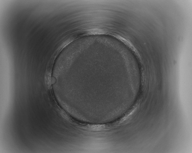 X0000103220889200809181501