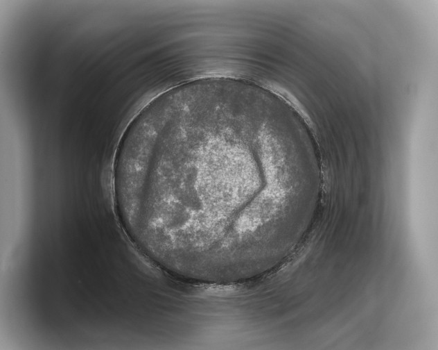 X0000103220890200809181501