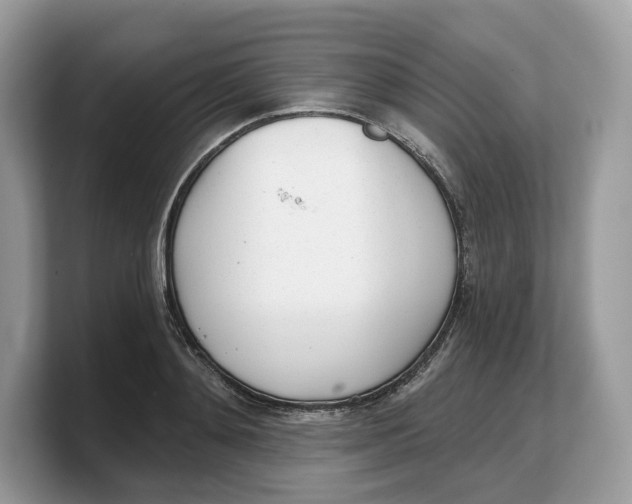 X0000103220892200809181501