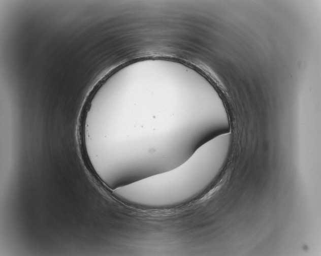 X0000103220893200809181501