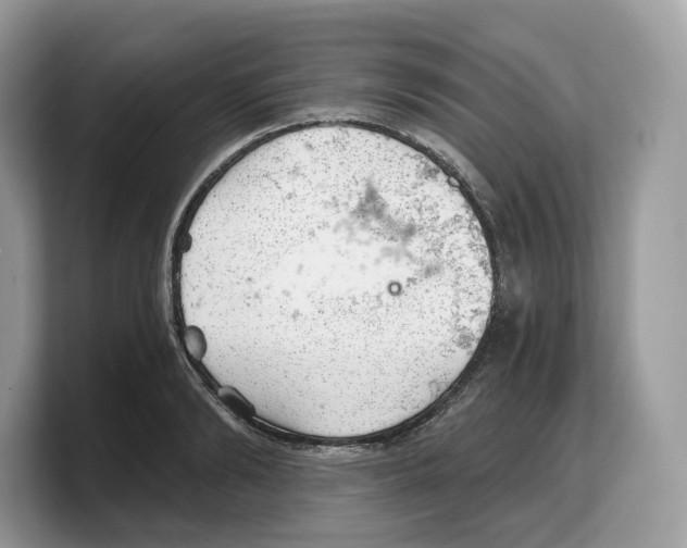 X0000103220894200809181501