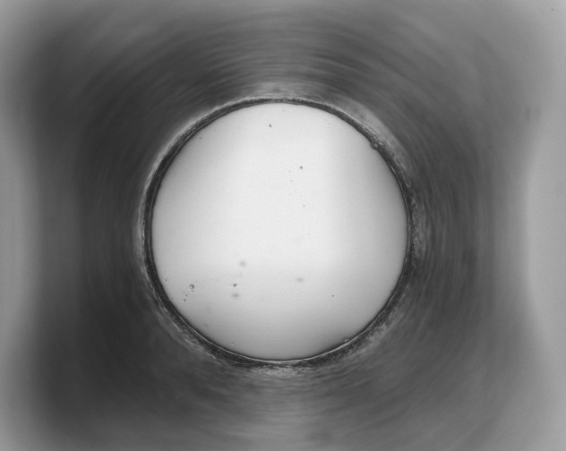 X0000103220896200809181501