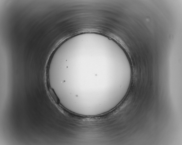 X0000103220898200809181501