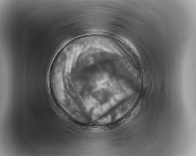 X0000103220899200809181501