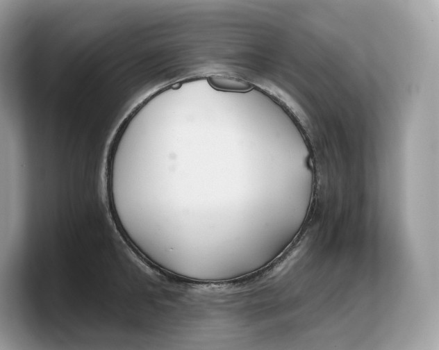 X0000103220902200809181501