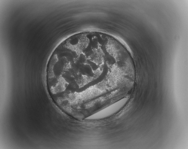 X0000103220903200809181501