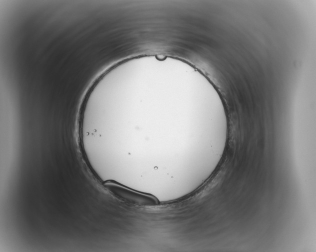 X0000103220904200809181501