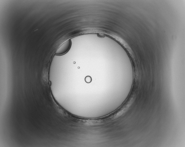 X0000103220905200809181501