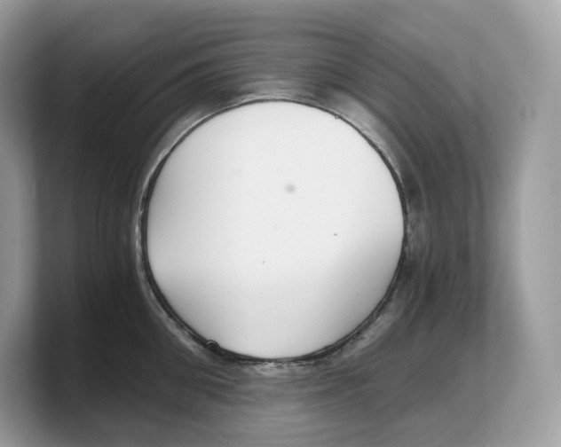 X0000103220906200809181501