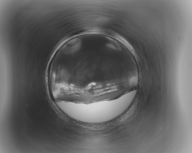 X0000103220907200809181501