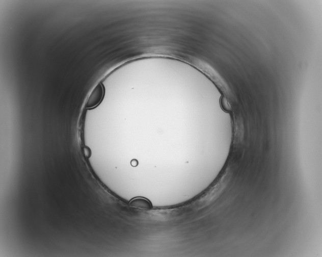 X0000103220908200809181501