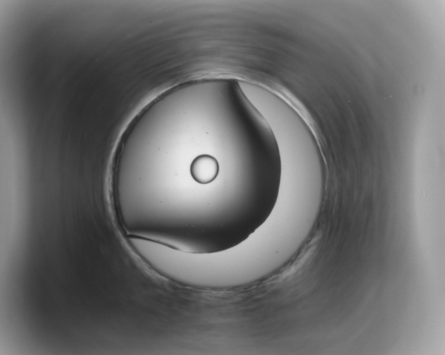 X0000103220909200809181501