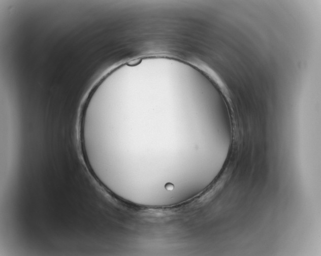 X0000103220910200809181501