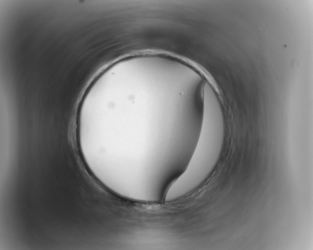 X0000103220911200809181501