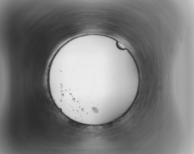 X0000103220912200809181501