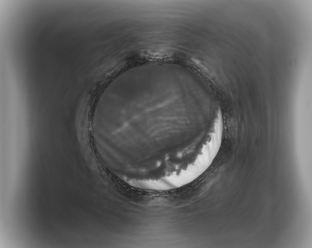 X0000103220913200809181500