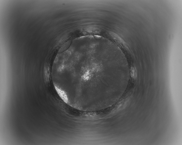 X0000103220915200809181500