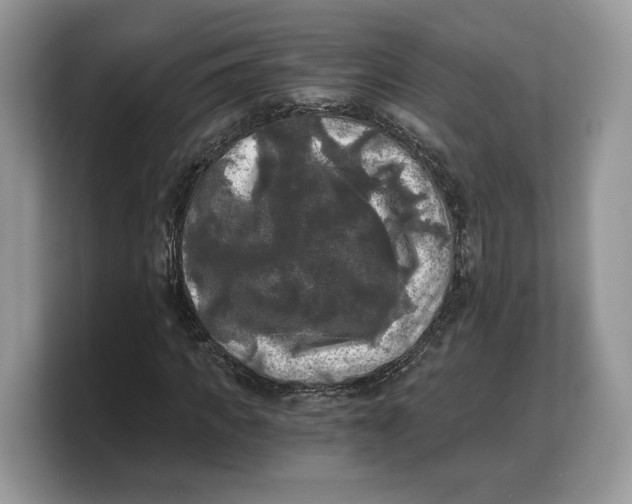 X0000103220917200809181500