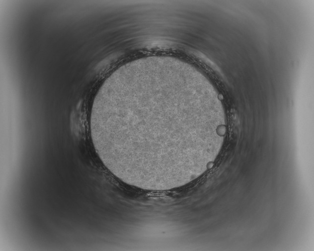 X0000103220918200809181500