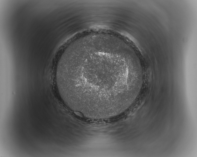 X0000103220919200809181500