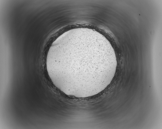 X0000103220920200809181500