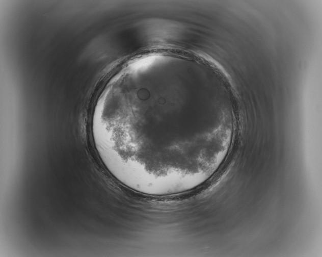 X0000103220921200809181500